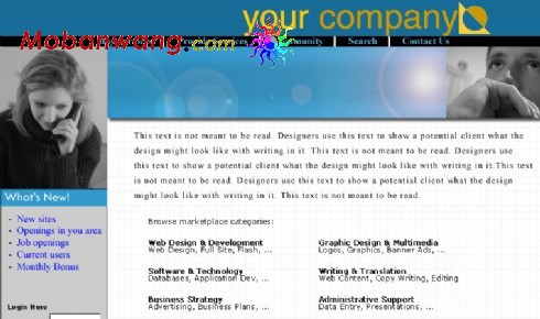 欧美公司介绍网页模板