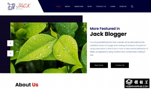 个人营销日志响应式网页模板