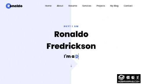 履历项目展示响应式网页模板