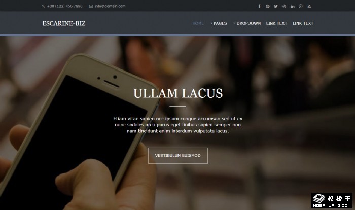 移动商务企业网站模板