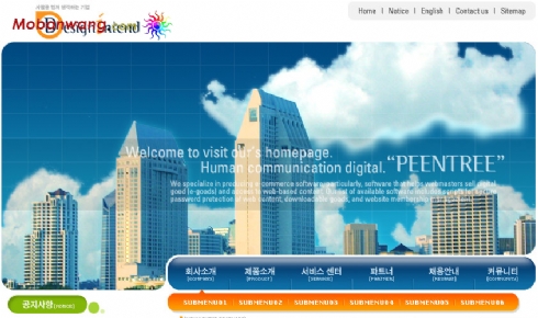 韩国房地产公司网站蓝色模板