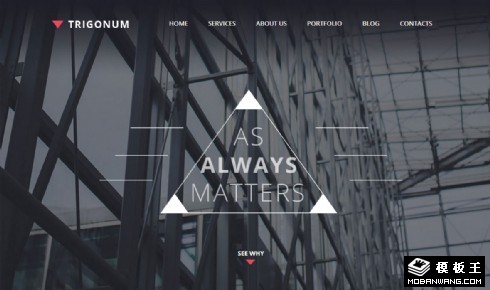 三角地带产品宣言网页模板