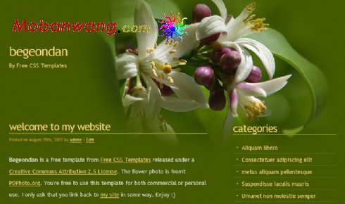 绿色花朵BLOG网页模板