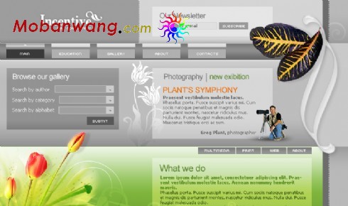 摄影者作品网页模板