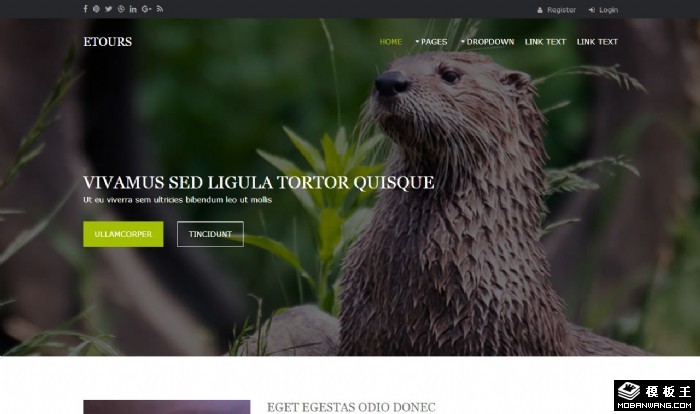 探索之旅网页模板