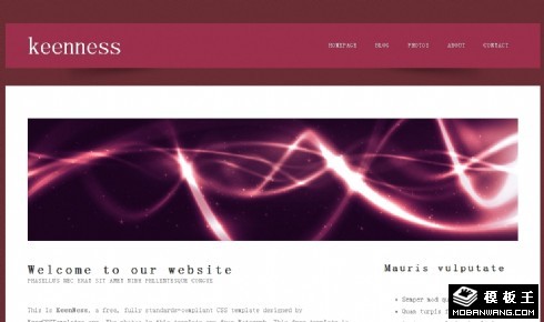 紫红幻光信息网页模板