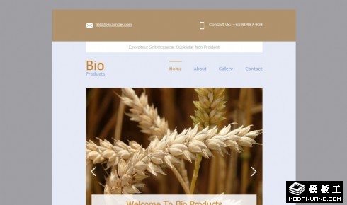 农业产品价格信息响应式网页模板