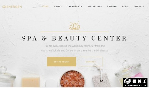SPA美容按摩展示响应式网页模板