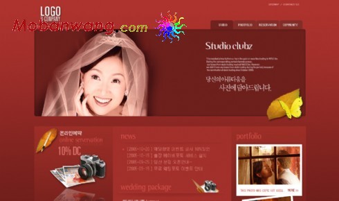 婚纱影楼网页模板