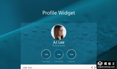 用户数据组件响应式网页模板