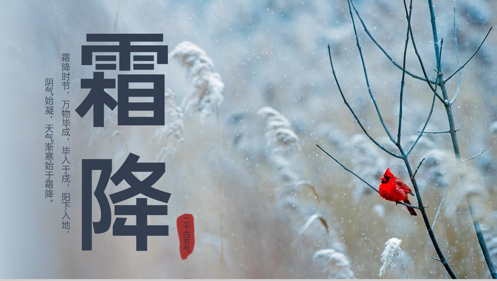 浅蓝简约风二十四节气之霜降气候特征介绍PPT模板