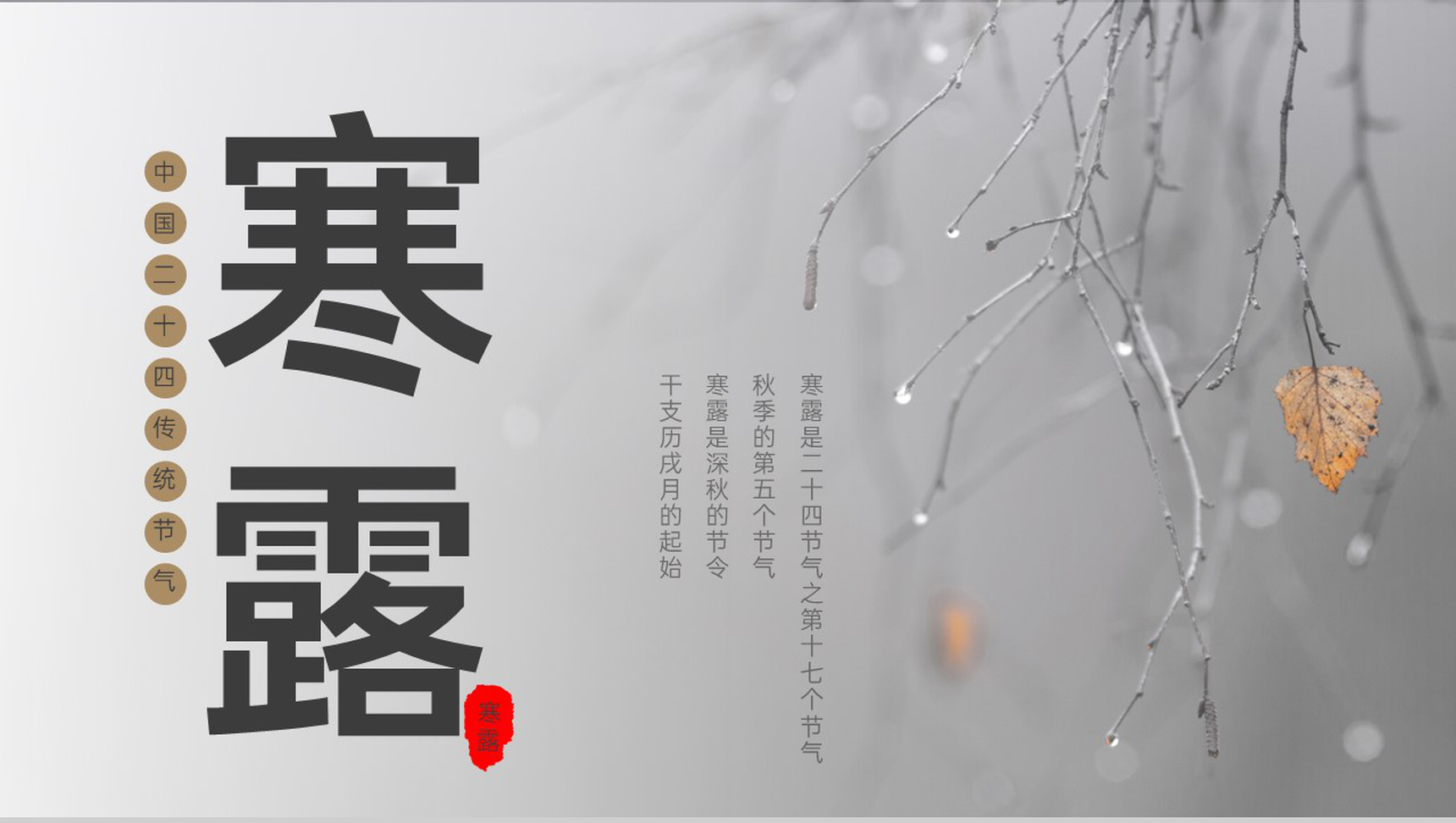 灰色简约中国风二十四节气寒露节气文化介绍PPT模板