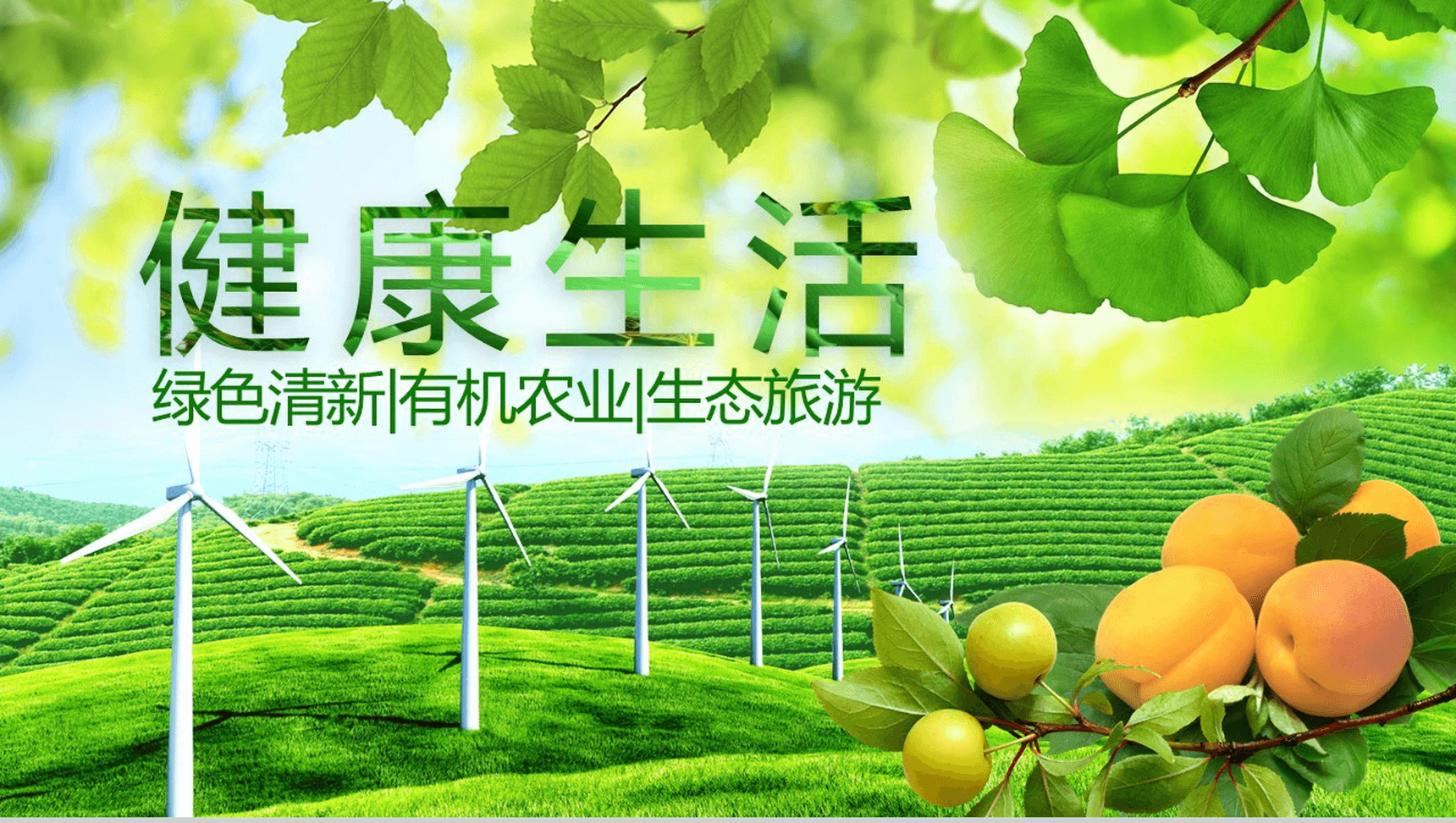 简约绿色清新有机农业环保健康生态旅游PPT模板