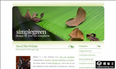 绿色落叶BLOG网页模板