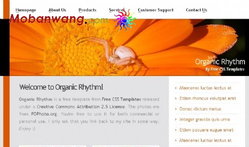 自然节奏网页模板