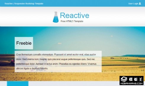 旅行日程安排响应式网页模板