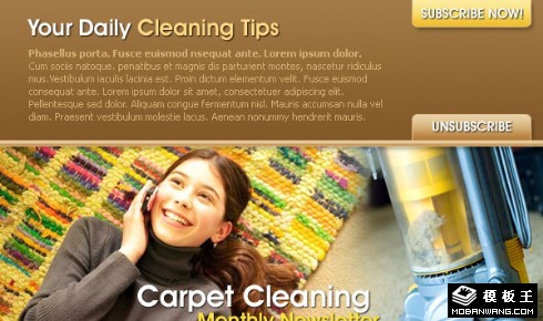 地毯清洁服务EDM网页模板