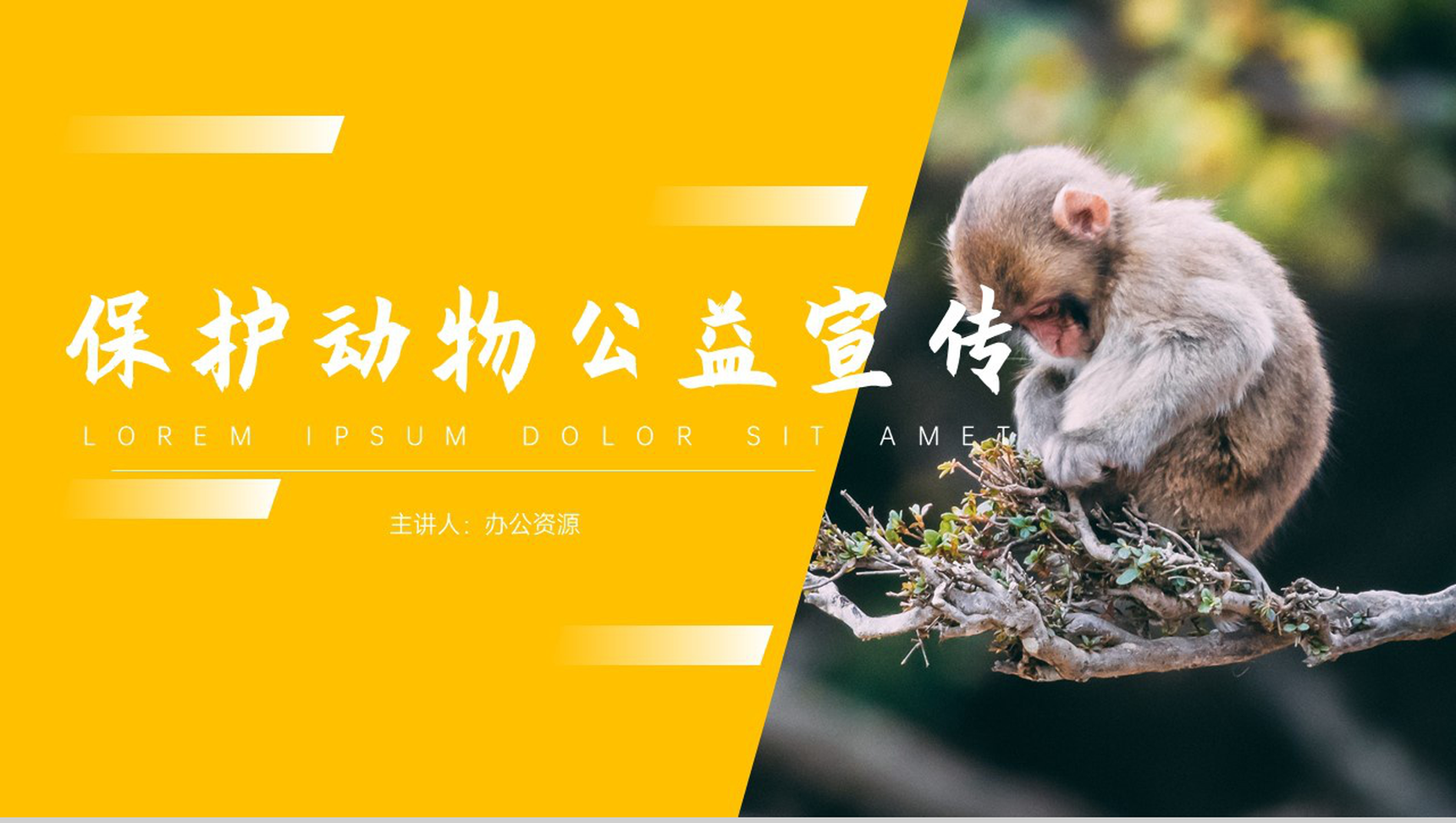 保护动物传承美德公益宣传PPT模板