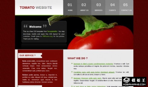 暗红番茄产品介绍网页模板
