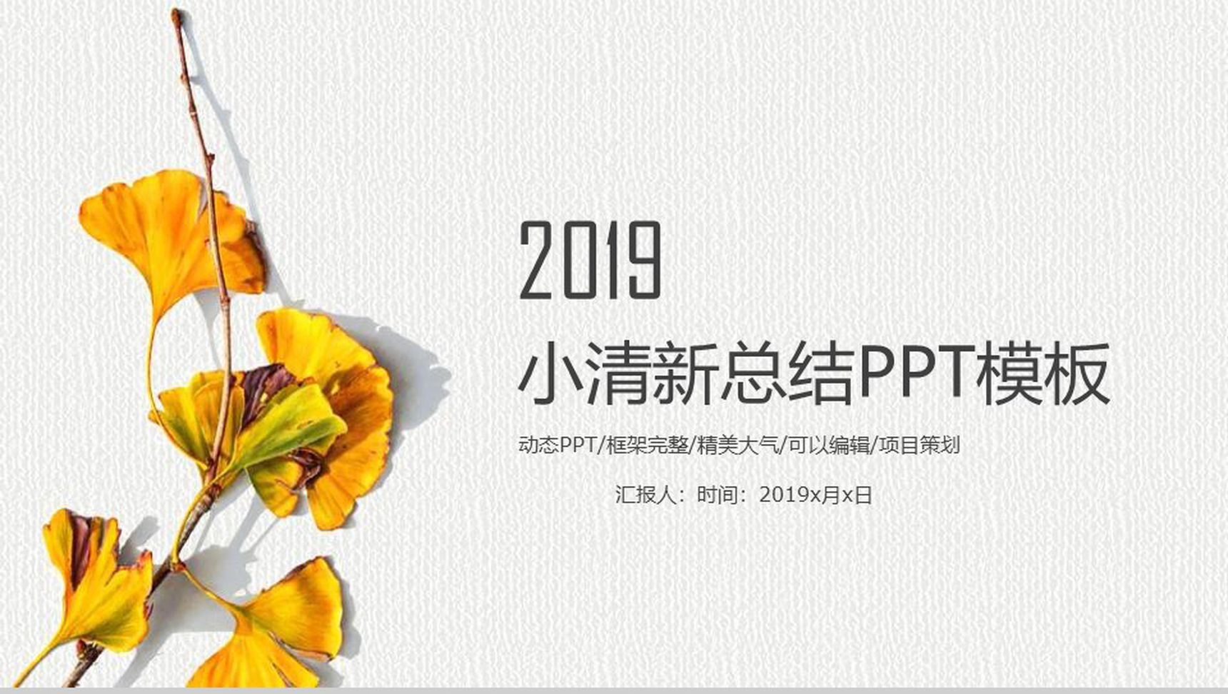 2019小清新总结工作报告PPT模板