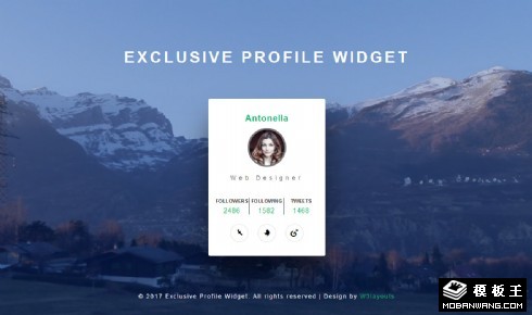 用户信息组件响应式网页模板