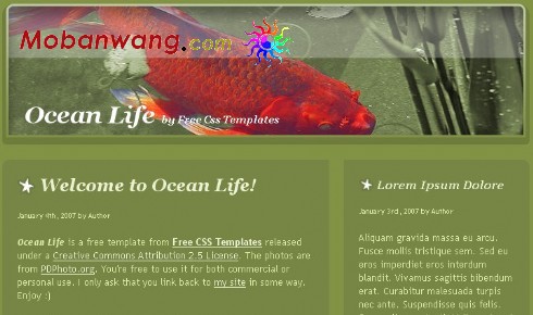 鱼主题日志网页模板