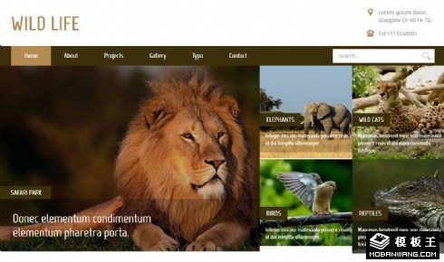 野生动物研究响应式网站模板