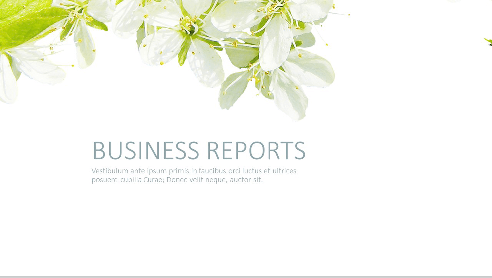 欧美商务清新绿时尚通用PPT模板