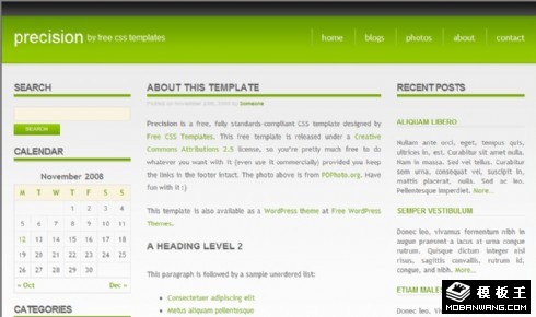 绿色信息BLOG网页模板