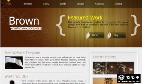 棕色企业产品介绍网页模板