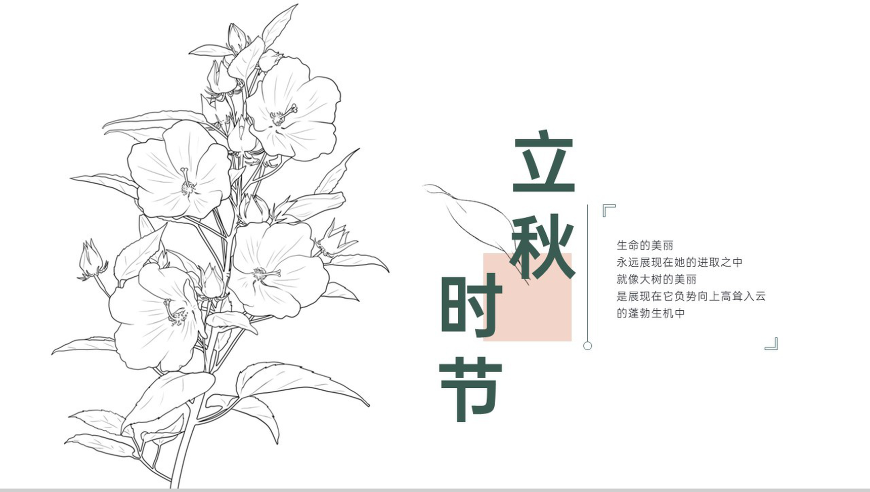 白色清新风传统二十四节气立秋时节主题工作总结PPT模板