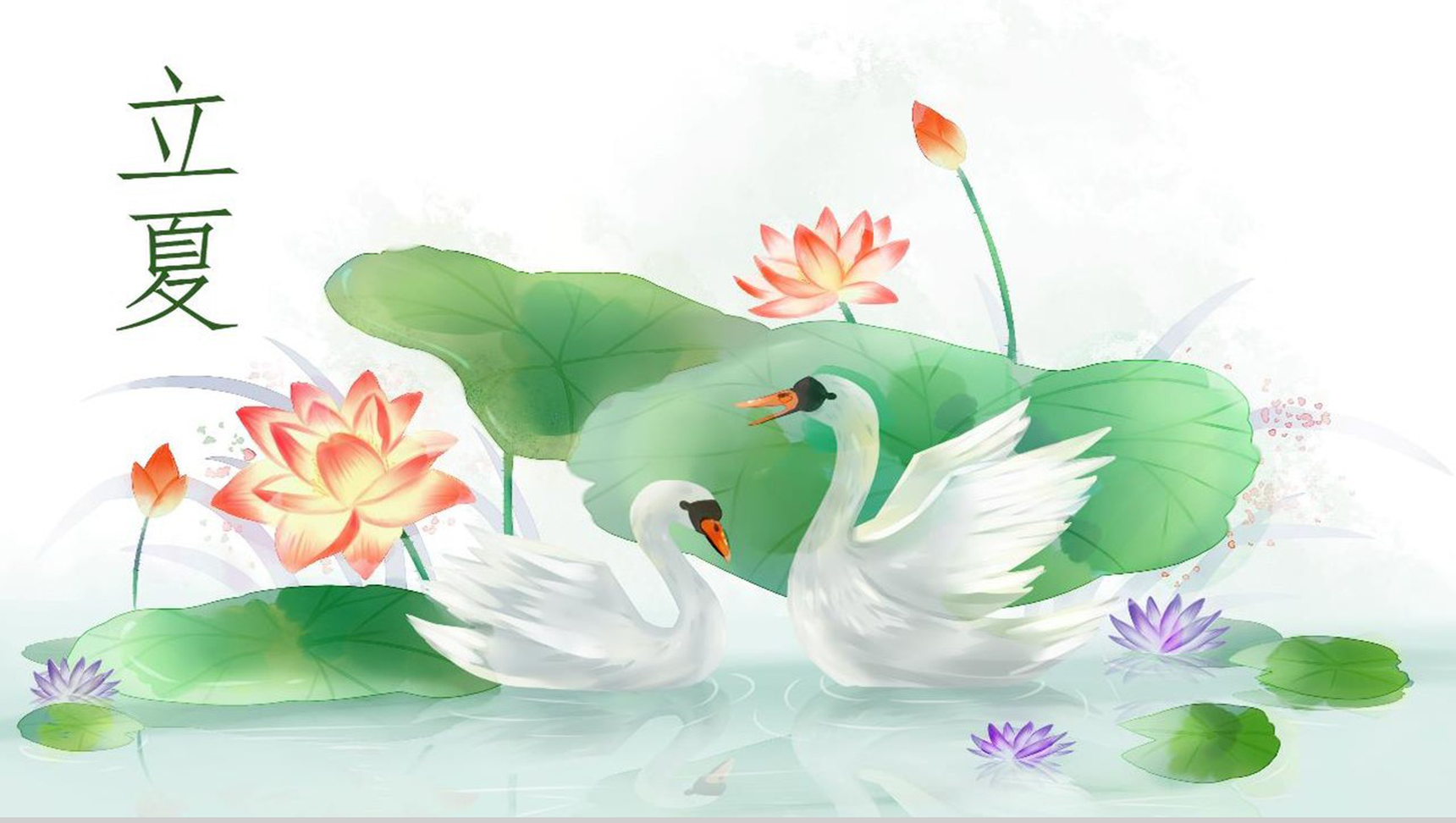 白色简约立夏节气工作汇报PPT模板