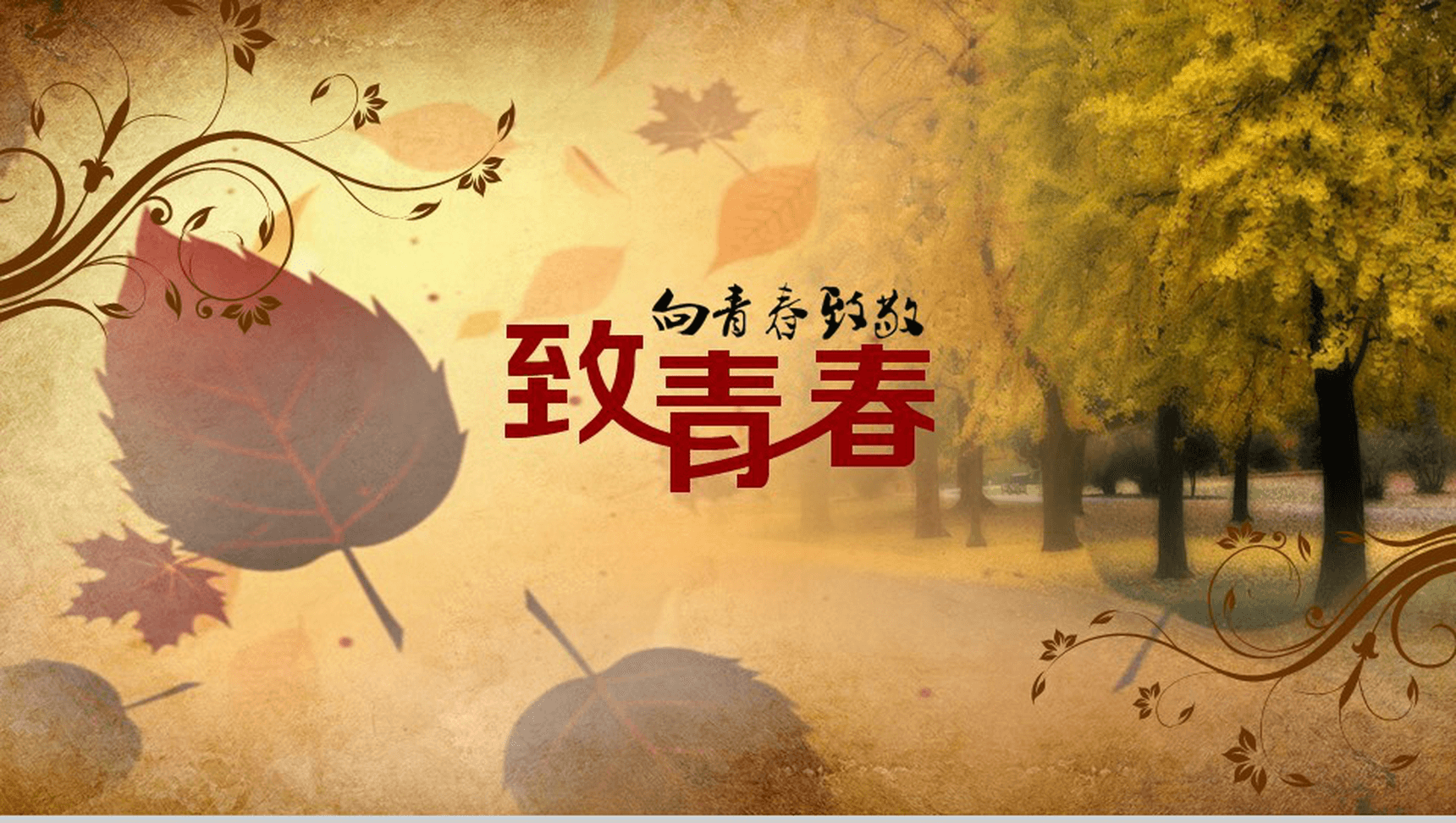 10年回首相聚同学聚会专用PPT模板