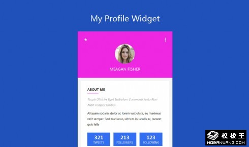 用户介绍信息组件网页模板