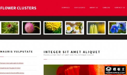 花簇锦攒图册网页模板