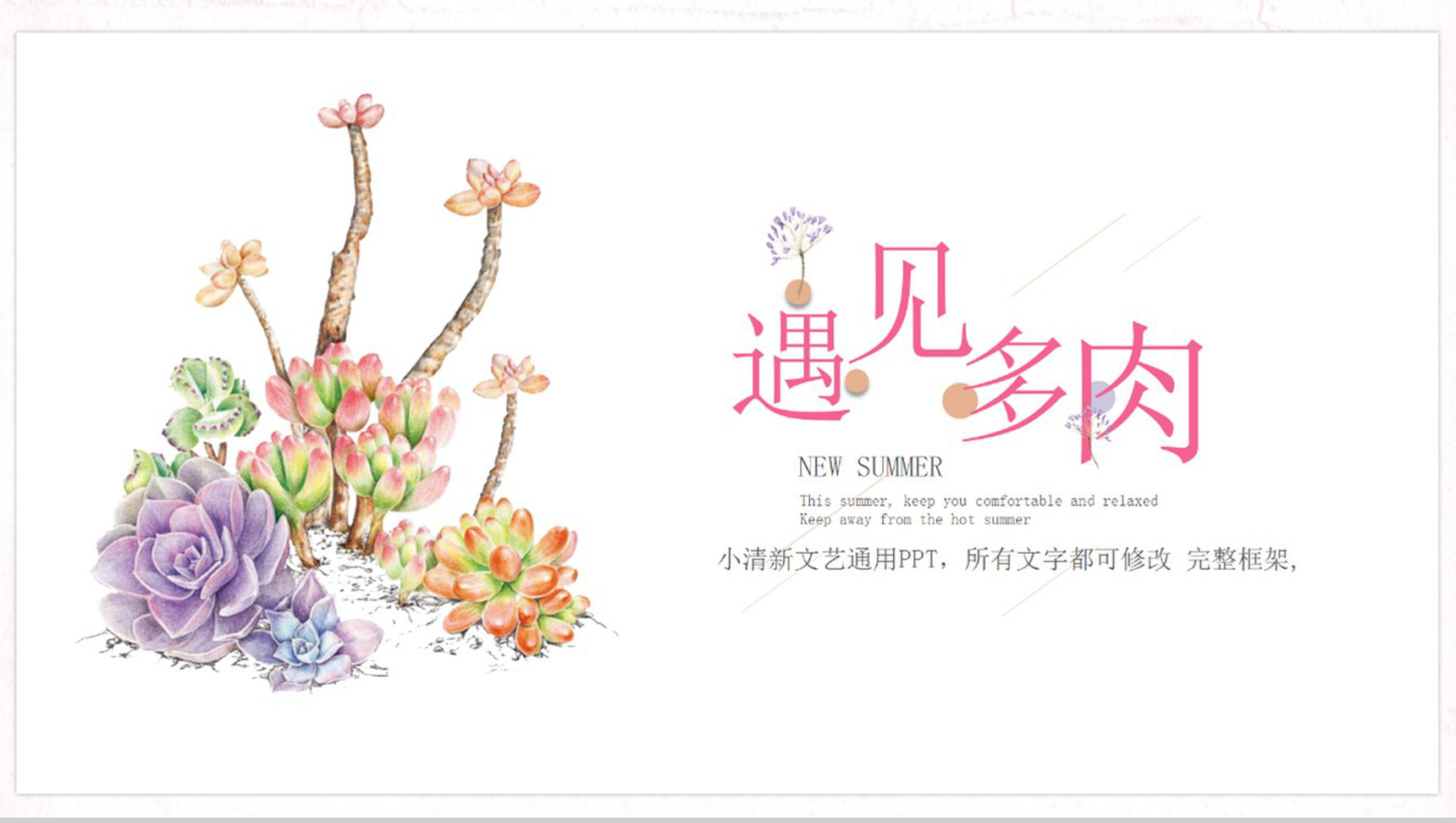 遇见多肉小清新文艺通用企业宣传PPT模板