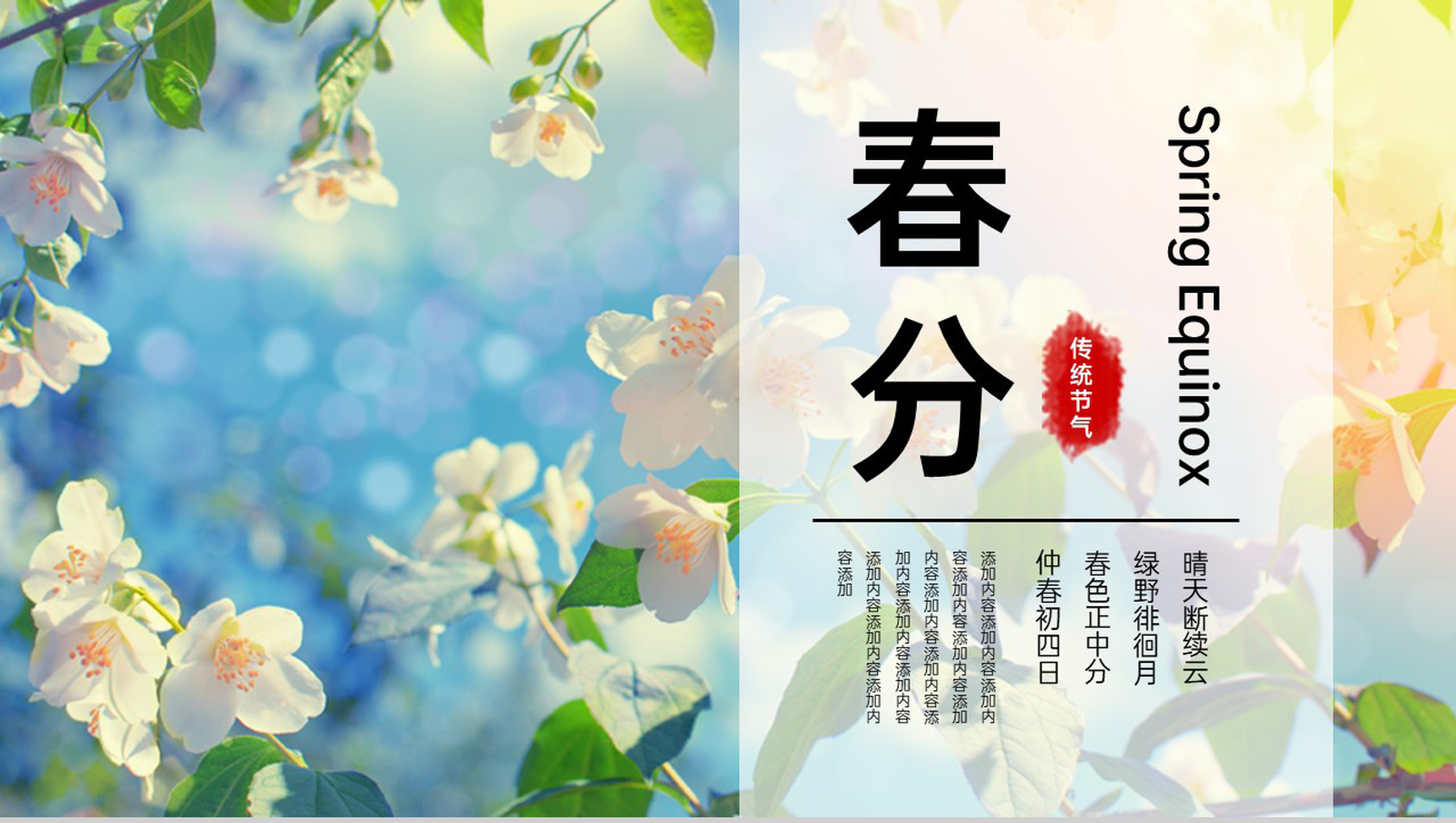 绿色小清新二十四节气春分主题活动策划方案PPT模板