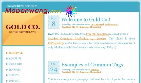 黄金主题公司BLOG网页模板