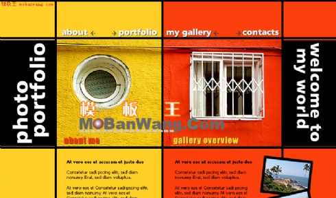 欧美个人珍藏相片主页版面模板