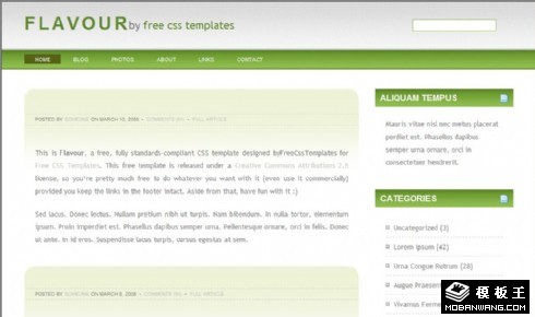 绿色风格信息BLOG网页模板