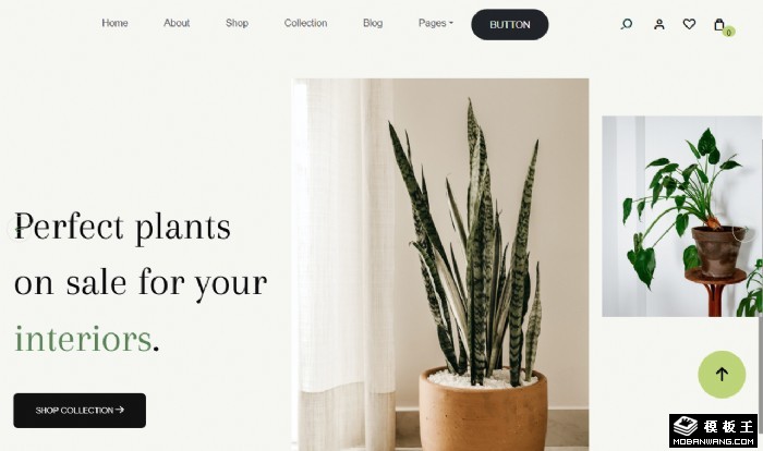 室内盆栽装饰网站模板