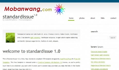 简单期刊BLOG网页模板