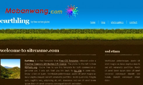 草原森林信息网页模板