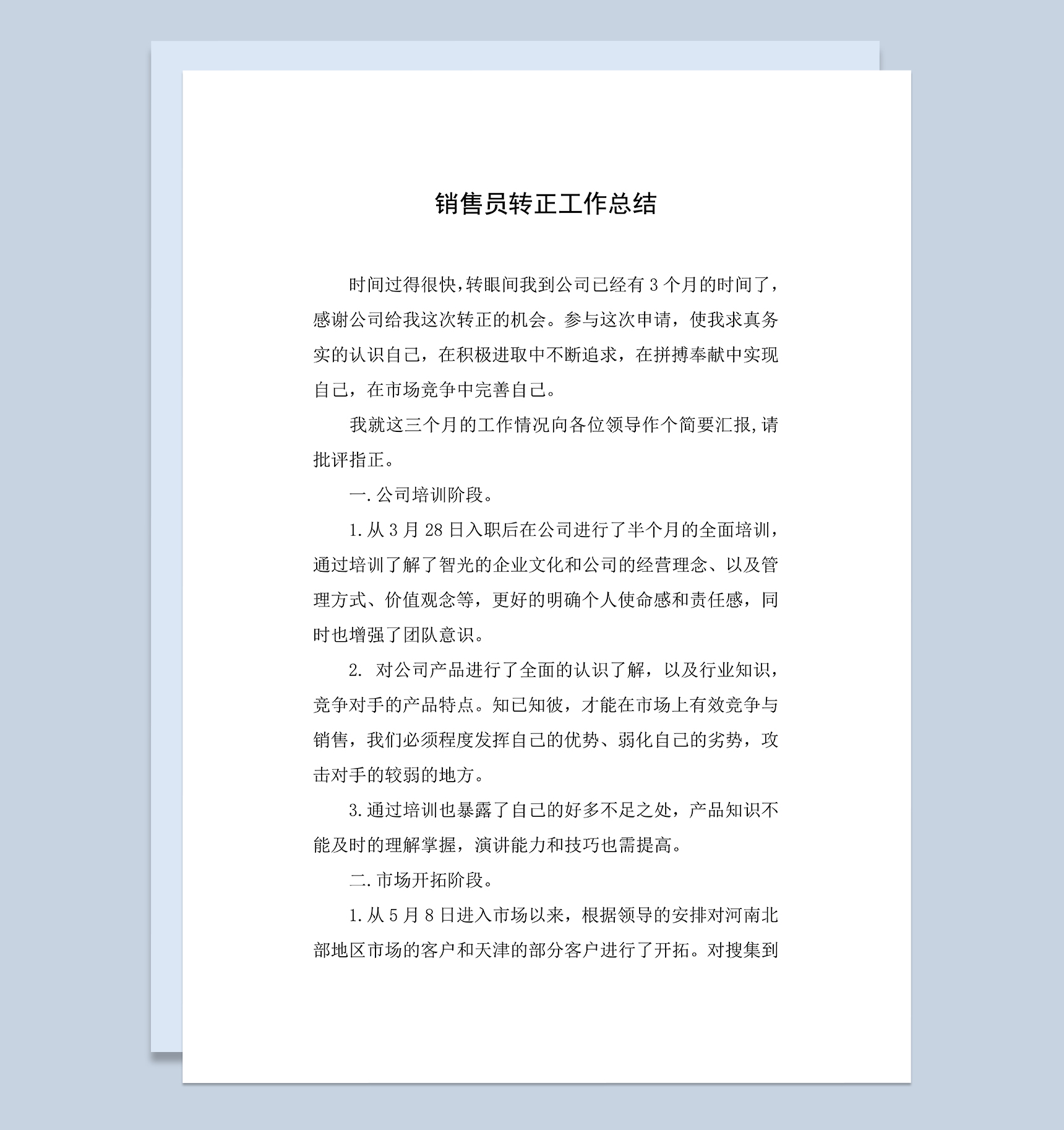 标准通用销售员个人年终转正工作总结Word模板