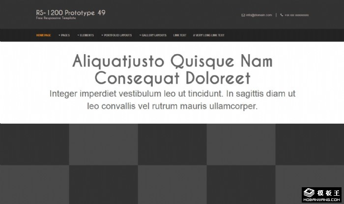 黑白信息动态网站模板系列49