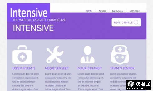 紫蓝色医疗工具网页模板