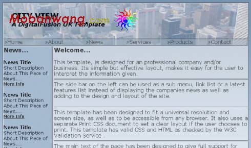 城市视野网页模板
