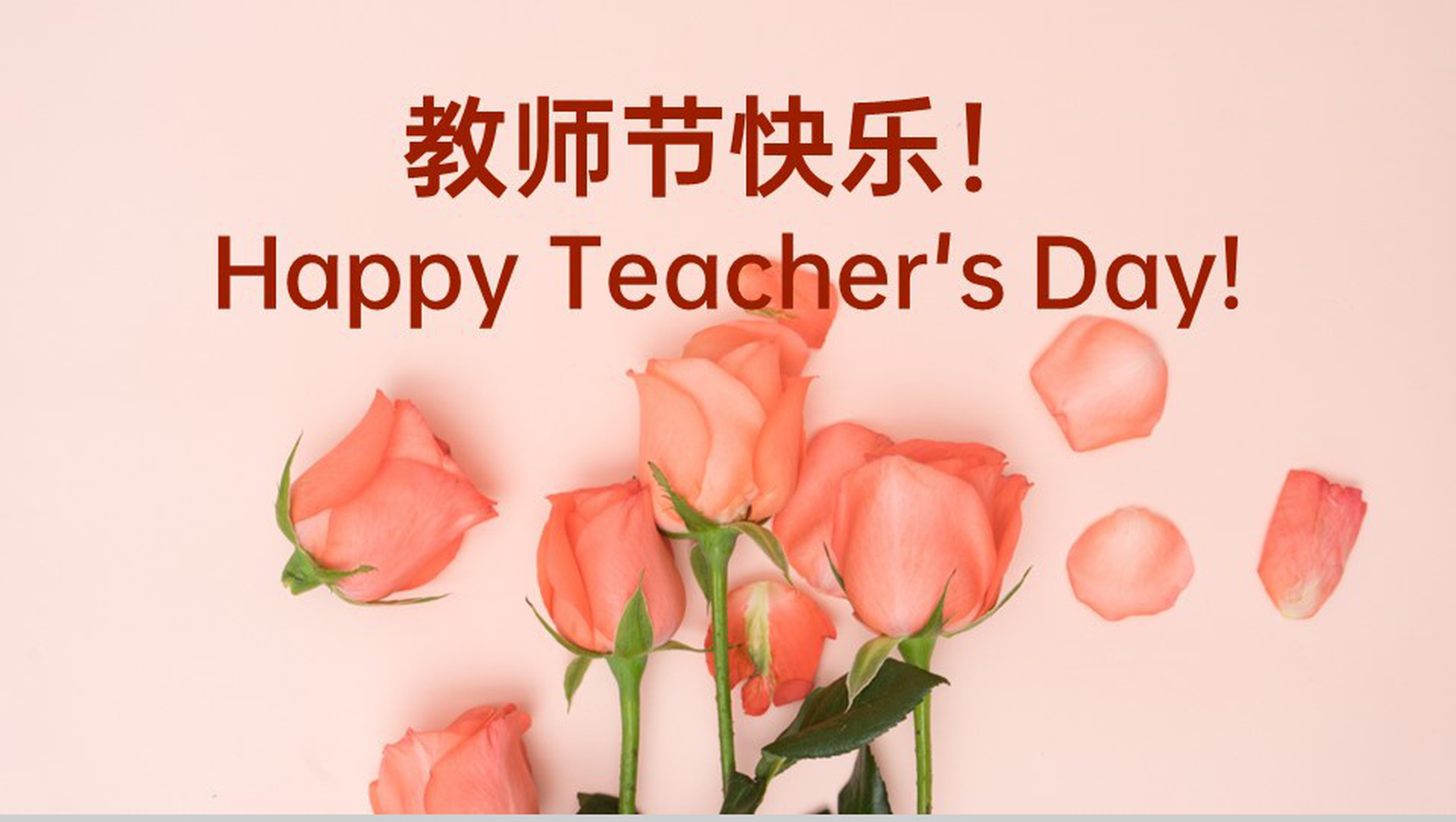 粉色商务海报风教师节班会感恩教育主题PPT模板