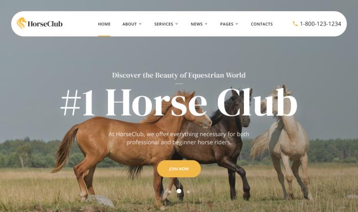 马术俱乐部主题网站模板
