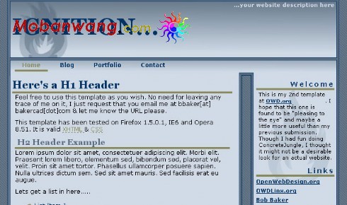 蓝火博客信息网页模板